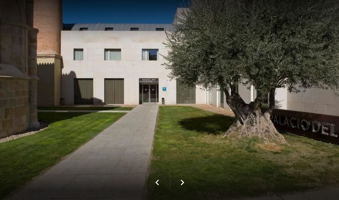 Nh Zamora Palacio Del Duero Ngoại thất bức ảnh